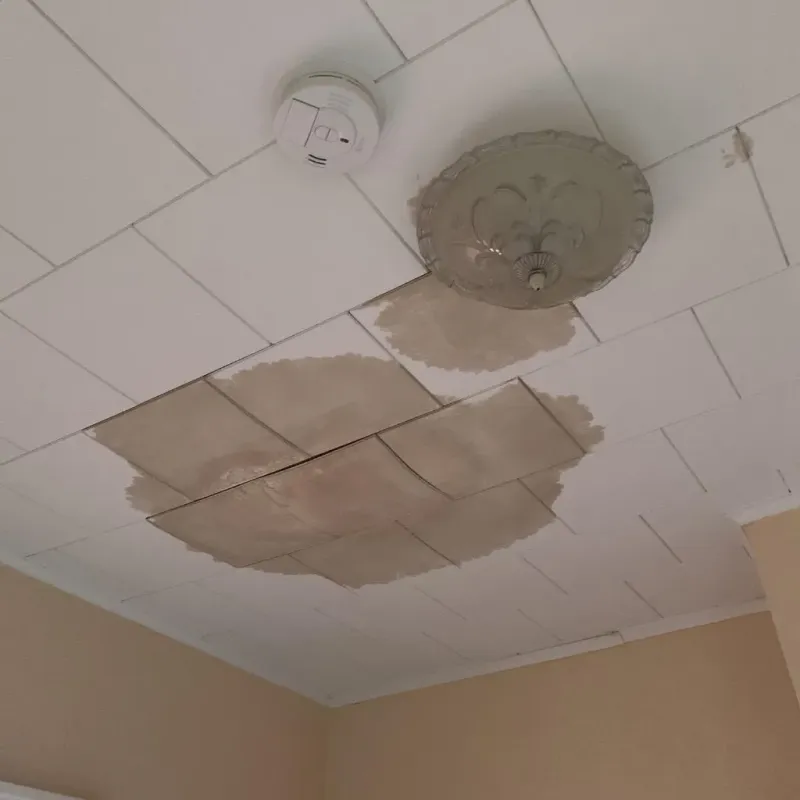 Ceiling Water Damage Repair in Polkton, NC