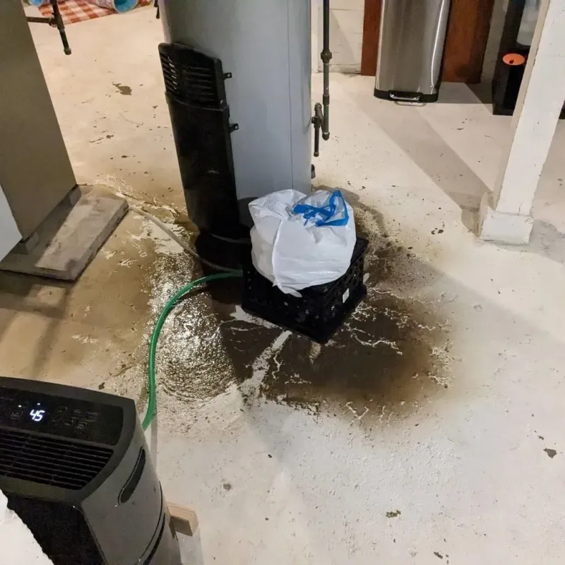 Sewage Backup Cleanup Service in Polkton, NC